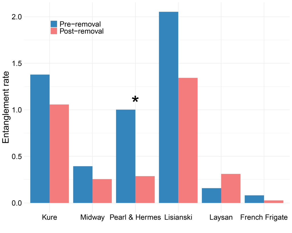 Bar graph of Hawaiian monk seal entanglement rates from different northwest Hawaiian Islands pre and post removal of marine debris