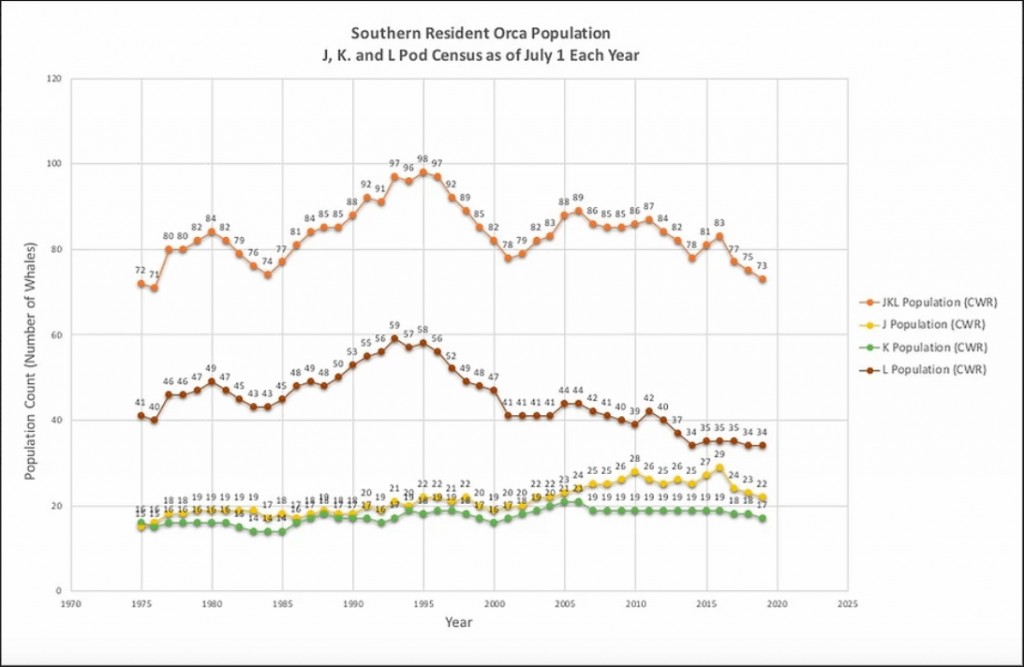 Southern Resident Killer Whale Population Details - Marine Mammal