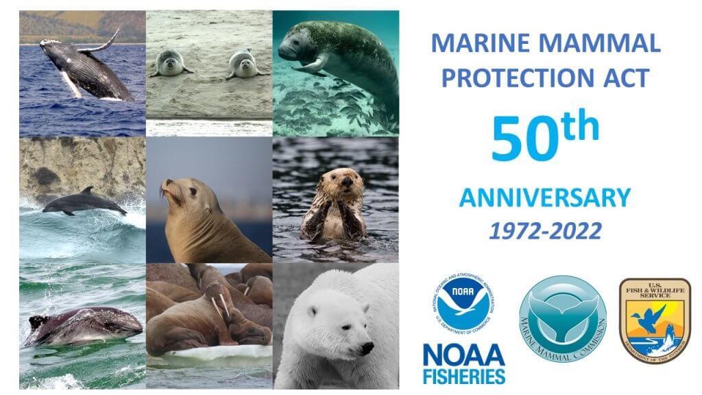 50th Anniversary Video Testimonials - Marine Mammal Commission