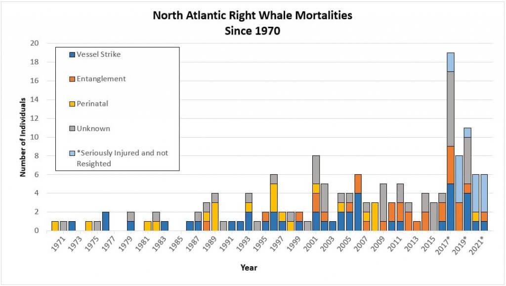 North Atlantic Right Whale - Marine Mammal Commission