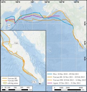 Western North Pacific Gray Whales - Marine Mammal Commission